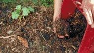 Montejícar convertirá abono natural procedente de residuos orgánicos de hogares