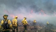Extinguido el incendio forestal declarado ayer tarde en Gualchos