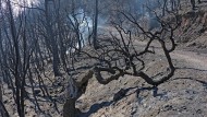 AUDIO: Los informes técnicos del Infoca prueban la “actuación correcta” en el incendio de Lújar
