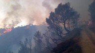 Activada la máxima alerta por el incendio de Gualchos que obliga a desalojar a 400 personas de Lújar