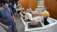 Arranca la ‘Semana del cerebro’ en el Parque de las Ciencias