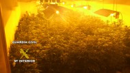 2.300 personas tienen adicción al cannabis en Granada 2.300 personas tienen adicción al cannabis en Granada