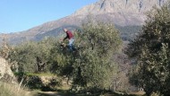 UPA avanza que la cosecha de aceite bajará un 74% en Granada UPA avanza que la cosecha de aceite bajará un 74% en Granada