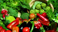 La luz cara ahoga a los agricultores La luz cara ahoga a los agricultores