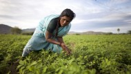 La Fundación Vicente Ferrer muestra en Granada su labor con la promoción de la mujer en la India La Fundación Vicente Ferrer muestra en Granada su labor con la promoción de la mujer en la India