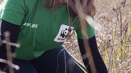 Voluntarios de WWF en Granada, Córdoba y Sevilla plantan más de 2.000 árboles Voluntarios de WWF en Granada, Córdoba y Sevilla plantan más de 2.000 árboles