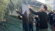 La temporada de la aceituna llega al Parque de las Ciencias La temporada de la aceituna llega al Parque de las Ciencias