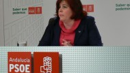 El PSOE acusa a Sebastián Pérez de “amparar las corruptelas” de Otura y le exige medidas contra el alcalde El PSOE acusa a Sebastián Pérez de “amparar las corruptelas” de Otura y le exige medidas contra el alcalde