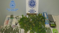 Dos detenidos y un invernadero de marihuana desmantelado en un piso de estudiantes de la capital Dos detenidos y un invernadero de marihuana desmantelado en un piso de estudiantes de la capital