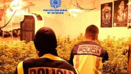 Detenido un matrimonio por vender cocaína y heroína en su vivienda de Granada Detenido un matrimonio por vender cocaína y heroína en su vivienda de Granada