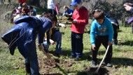Escolares del C.P San Pascual Bailón de Pinos Puente celebran el Día Mundial del Árbol plantando medio millar pinos y acebos