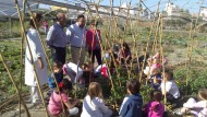 Alumnos un colegio de La Herradura participan en un huerto escolar ecológico Alumnos un colegio de La Herradura participan en un huerto escolar ecológico