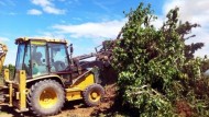 Sindicatos exigen ayudas e inspecciones para reducir los accidentes con tractor Sindicatos exigen ayudas e inspecciones para reducir los accidentes con tractor