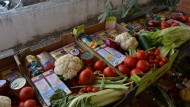 Pinos Puente reparte 9000 kilos de comida en tres meses Pinos Puente reparte 9000 kilos de comida en tres meses
