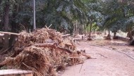 Más de 200 voluntarios se suman al dispositivo de búsqueda del desaparecido en Iznalloz Más de 200 voluntarios se suman al dispositivo de búsqueda del desaparecido en Iznalloz