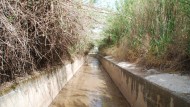 Padul realiza labores de limpieza para prevenir inundaciones Padul realiza labores de limpieza para prevenir inundaciones