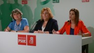 El PSOE advierte de pérdidas millonarias en el olivar granadino por los daños sin reparar tras la riada
