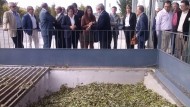 La almazara Campopineda inaugura la campaña olivarera en Granada con buenas perspectivas de cosecha