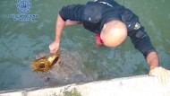 Recuperan en un canal piezas religiosas robadas de una iglesia de Baza Recuperan en un canal piezas religiosas robadas de una iglesia de Baza