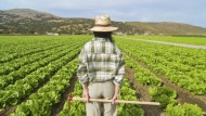 El campo granadino lidera el crecimiento de autónomos en España El campo granadino lidera el crecimiento de autónomos en España