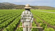 El campo granadino lidera el crecimiento de autónomos en España