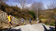 La XII Carrera de la Naranja cita a 400 corredores en El Valle La XII Carrera de la Naranja cita a 400 corredores en El Valle