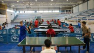 Albolote sede del torneo provincial de Tenis de Mesa Aficionado Albolote sede del torneo provincial de Tenis de Mesa Aficionado