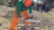 Unos 56.000 jornales verdes Unos 56.000 jornales verdes