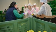 AUDIO: Cortijo Cuevas y Sol de Alba, ejemplo granadino de industrias agroalimentarias AUDIO: Cortijo Cuevas y Sol de Alba, ejemplo granadino de industrias agroalimentarias
