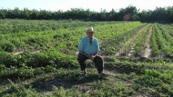 Defienden el reconocimiento del Patrimonio Agrario como un nuevo tipo de bien protegido Defienden el reconocimiento del Patrimonio Agrario como un nuevo tipo de bien protegido