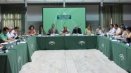 El Plan del Olivar promoverá la modernización y competitividad del sector con más de 100 actuaciones El Plan del Olivar promoverá la modernización y competitividad del sector con más de 100 actuaciones