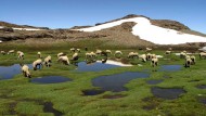 Sierra Nevada renueva su adhesión a la Carta Europea de Turismo Sostenible