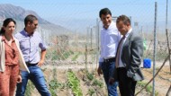 Hortalizas para llenar la nevera de familias sin recursos Hortalizas para llenar la nevera de familias sin recursos