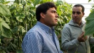 Asaja califica de arbitraria y errónea la retirada de subvenciones por la Junta a agricultores de la Costa Asaja califica de arbitraria y errónea la retirada de subvenciones por la Junta a agricultores de la Costa