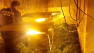 Desmantelan más cultivos ilegales de marihuana en Pinos Puente que también ‘robaban’ electricidad