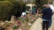 Los mayores de la residencia de Armilla celebran la primavera en el huerto