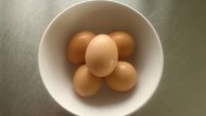 La composición de la cáscara de huevo influye en la contaminación por salmonela