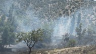 Un detenido por el incendio forestal en el parque natural Sierra de Baza
