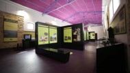 Montefrío inaugura un museo dedicado al olivo y al aceite de oliva