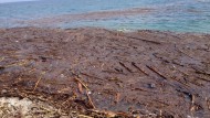 AUDIO y GALERÃ�A: Las playas de Granada siguen llenas de escombros una semana despuÃ©s de la riada