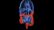 Salud implanta en Santa Fe la detección precoz del cáncer de colon